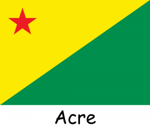 Bandeiras dos Estados — option 1