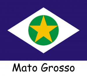 Bandeiras dos Estados — option 11