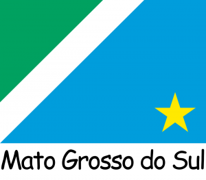 Bandeiras dos Estados — option 12