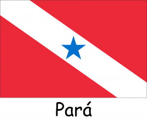 Bandeiras dos Estados — option 14