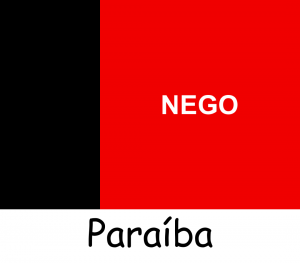 Bandeiras dos Estados — option 15