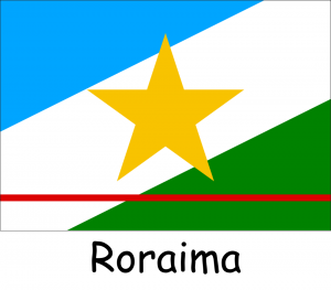 Bandeiras dos Estados — option 23