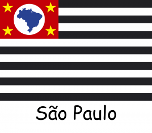 Bandeiras dos Estados — option 25