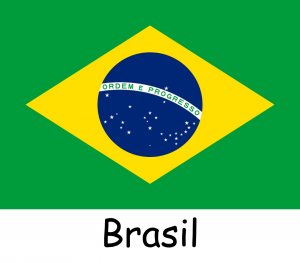 Bandeiras dos Estados — option 28