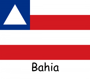 Bandeiras dos Estados — option 5