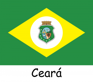 Bandeiras dos Estados — option 6