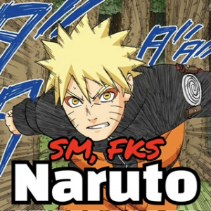 Img5169 — Naruto Shippuden Power Tiers V2 (200+) option 11