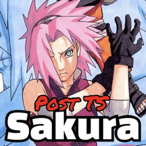 Img5175 — Naruto Shippuden Power Tiers V2 (200+) option 49