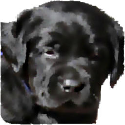 Alpineuiplushsuitdogsunday — Forsaken AR tierlist Return to Screampunk option 25