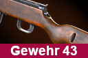 G43 — Hell Let Loose Weapons option 10