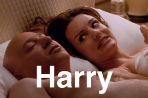 Harry — Sex and the City: Boyfriends, Flings and Lovers option 17