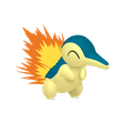 Every Fire Type Pokémon (as of Indigo Disc) — option 13