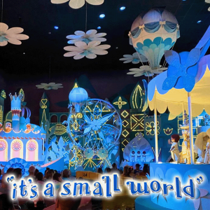 22tsasmallworld — Magic Kingdom Attraction Tier List (2025) option 22