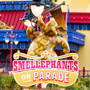 29smellephants — Magic Kingdom Attraction Tier List (2025) option 29