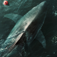 Lilith The Shark — 2024 Movie Villains option 66
