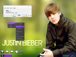Justinbieber — GNU/Linux Distros option 51