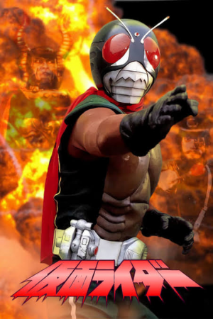 6 Skyrider — All Kamen Rider series option 6