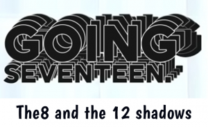 12 Shadows — Going Seventeen Gose All Episodes 2019 - 2024 (Updated 12/9) option 25