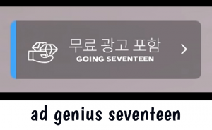 Ad Genius — Going Seventeen Gose All Episodes 2019 - 2024 (Updated 12/9) option 42