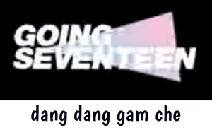 Ddgc — Going Seventeen Gose All Episodes 2019 - 2024 (Updated 12/9) option 4