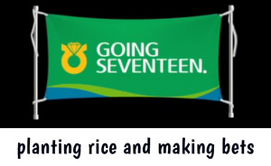 Non — Going Seventeen Gose All Episodes 2019 - 2024 (Updated 12/9) option 44