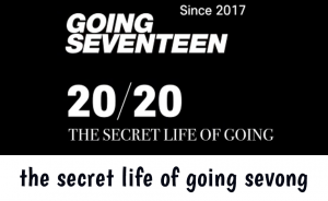 Secret Life Of Going Sevong — Going Seventeen Gose All Episodes 2019 - 2024 (Updated 12/9) option 12