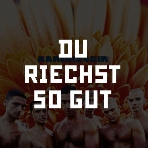 Photo2025 10 0512 31 13 2 — RAMMSTEIN (Full Discography) option 6