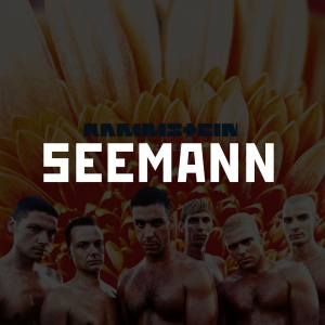Photo2025 10 0512 31 13 — RAMMSTEIN (Full Discography) option 5