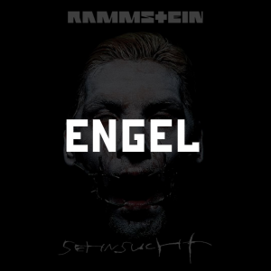 Photo2025 10 0512 31 19 — RAMMSTEIN (Full Discography) option 13