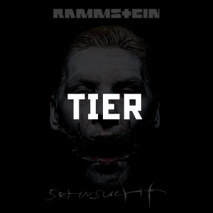 Photo2025 10 0512 31 20 — RAMMSTEIN (Full Discography) option 14
