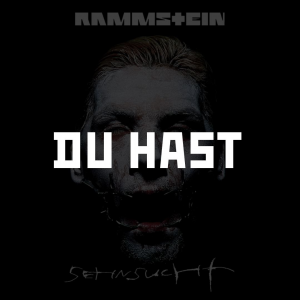 Photo2025 10 0512 31 21 — RAMMSTEIN (Full Discography) option 16