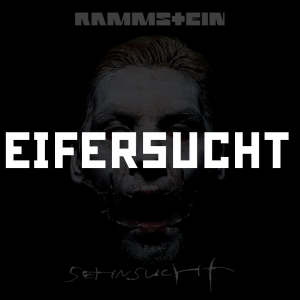 Photo2025 10 0512 31 24 2 — RAMMSTEIN (Full Discography) option 21