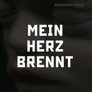 Photo2025 10 0512 31 26 — RAMMSTEIN (Full Discography) option 23