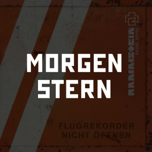 Photo2025 10 0512 31 38 2 — RAMMSTEIN (Full Discography) option 41