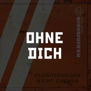 Photo2025 10 0512 31 40 — RAMMSTEIN (Full Discography) option 43