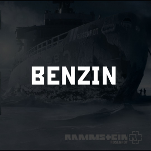 Photo2025 10 0512 31 41 2 — RAMMSTEIN (Full Discography) option 45