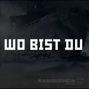 Photo2025 10 0512 31 45 — RAMMSTEIN (Full Discography) option 49