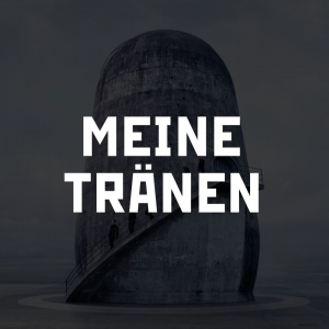 Photo2025 10 0512 32 17 — RAMMSTEIN (Full Discography) option 89