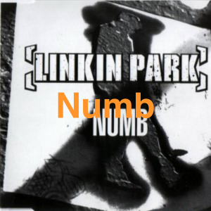 Img6542 — Meteora - Linkin Park option 13