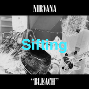 Img6775 — Nirvana Bleach Album Tier list option 11