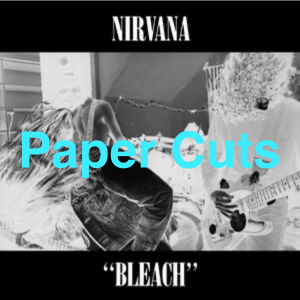 Img6776 — Nirvana Bleach Album Tier list option 6