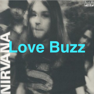 Img6779 — Nirvana Bleach Album Tier list option 5