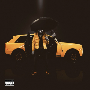 Img3018 — ALBUMS FROM THE 2020S DECADE option 44