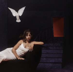 Zzzzz 1733652824img3143 — ALBUMS FROM THE 2020S DECADE option 325