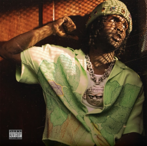 Zzzzz 1733652914img2808 — ALBUMS FROM THE 2020S DECADE option 403