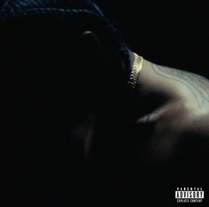Zzzzz 1733652916img3501 — ALBUMS FROM THE 2020S DECADE option 426