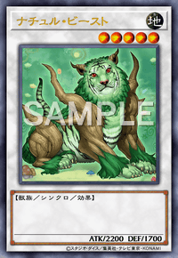 Img0685 — EARTH DRAFT Tier List option 44