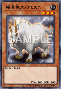 Img0777 — EARTH DRAFT Tier List option 114