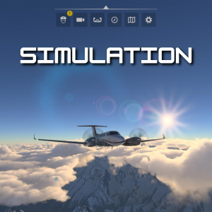 Simulation — Video Games Genres option 40