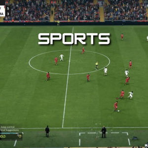 Sports — Video Games Genres option 42